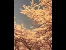 76259239383__B68633CF-2877-43EC-87AC-FDD0D879B6BE