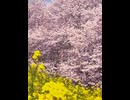 76259277275__3B3D66BA-D7CF-4DF2-9BBC-10FE1FF81F47