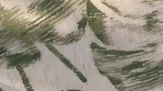 76259293682__ED68A284-A7CD-4FE2-B788-55B398D3849A