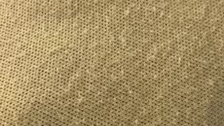 76259297620__F88715F0-AA96-4DB3-A796-568EB7688C50