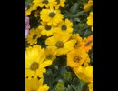 76259371491__2D89C82B-3C5D-4C3F-B1F0-05FF2AB7499D