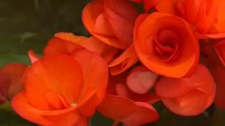 76259375410__3C8F9834-4CA1-4F93-915A-863EF907D138