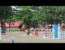 5歳お馬さんの飛翔