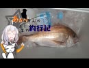 あかりさんのきまぐれ釣行記11　タイラバ2025編
