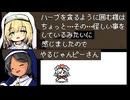 【モーニン司教達と】サン・モーニンを実況プレイ！【5000ゴールドをためるRPG】part15