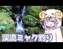 エンジョイ勢の渓流ミャク釣り（仮）