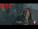 【実況】忍べないアサシン爆誕‼【Assassin's Creed Unity】part14