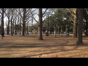 ハレ晴れユカイ