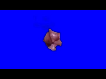 拓也の花ビラBB