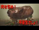 肉を包め！不衛生でしょ！【モンスターハンターワイルズ】＃2