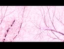 【オリジナル曲】瞳をみてて！ver.0.1です。 Vocal: #SynthesizerV. #GUMI. 動画: PowerDirector.白姉マリア Music: 白夜G.