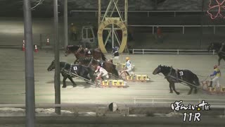 第46回ポプラ賞 マルホンリョウユウ