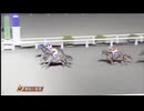 デイリースポーツ杯 第13回御厨人窟賞 ニクソンテソーロ・メイショウウズマサ
