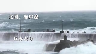 北国、海岸線  丘みどり  cover　by　Hiro