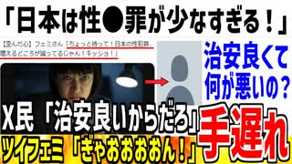 【悲報】ツイフェミ「日本は性犯●罪が少なすぎる！キッショ！」→治安の良さになぜか発狂してしまう...