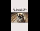 ワンちゃんが亡くなる直前に吠えるのは・・・