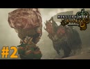 落としたら台無しやん　「モンスターハンターワイルズ」　＃2