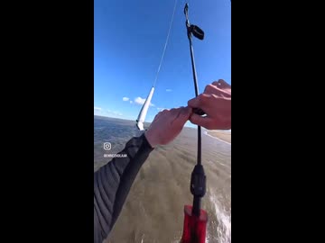 ホモと見る凧を利用して壁を垂直に登る方法