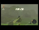 #5『ゼルダの伝説 ティアーズ オブ ザ キングダム』【初見プレイ】