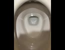 76274856426__515BC503-87C0-4602-ABD7-F4380FEBF9AA