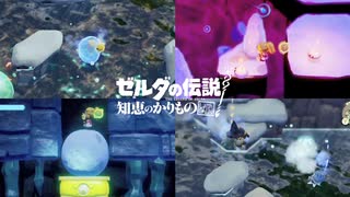 【こっそり山頂大作戦】知恵のかりもの しょけのん実況【42話】
