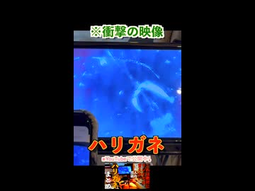 ※衝撃の映像「ハリガネ」その５（左手の薬指の中）