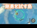ゼルダの伝説　ティアーズ オブ ザ キングダム　実況プレイPart301
