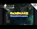 【FF9】チョコボの入り江 - チョコグラフ探し #65 【FINAL FANTASY IX（ファイナルファンタジー9）のりたまゲーム実況･寝落ち用】