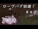 #４３【ビルド４２】ロープバグ回避！？【ProjectZomboid】