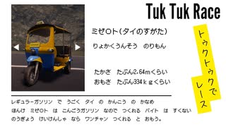 【Tuk Tuk Race】トゥクトゥクで自賠責保険フル活用レース
