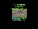 初心者のモンハンワイルズ奮闘記ゲーム実況：ケマトリスを操虫棍で初見狩り！【モンハンほぼ初心者プレイ