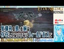 【実況】ELDEN RINGもっとやる！【257-DLC編】