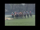 2010 報知杯弥生賞 (GII)　ヴィクトワールピサ