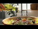 Adding Olive Oil to Salad in Bowl