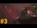 一人でどっか行くからやん　「モンスターハンターワイルズ」　＃3