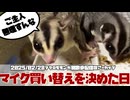 【 #おつモモンガ 】【 #睡眠用 #勉強用 #作業用BGM 】ボツ動画？寝坊したのもひどいし、マイクがすごく調子悪くなった日！【2025/02/28】【 #フクロモモンガ 】
