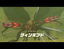 #115【ゼルダの伝説 ティアーズ オブ ザ キングダム】クィンギブドとの死闘(１戦目)！