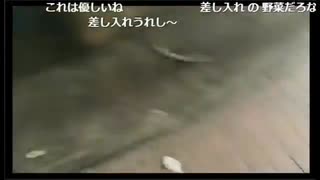 【野田草履P】自転車のサドルがブロッコリーになる【ニコ生】