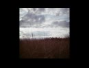 steamboat - suishe