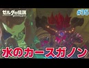 【ゼルダの伝説BotW】初めてのブレワイ！折れない心で未知の世界へ！#35【実況】