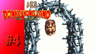 【実況】こんなところにとげとげタルめいろ！？【ドンキーコングランド】#4