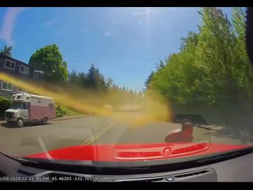 当たり屋女vs催涙スプレー