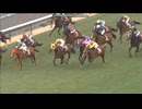 2013 フィリーズレビュー (GII)　メイショウマンボ