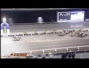 2025年3月4日高知競馬7R 安芸川特別(B-1組) モノノフブルー