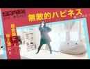 【ぴか。】無敵的ハピネス！【踊ってみた】