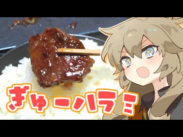 牛ハラミと米2合だもんに！つむぎとひまり