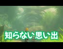 ゼルダの伝説　ティアーズ オブ ザ キングダム　実況プレイPart303