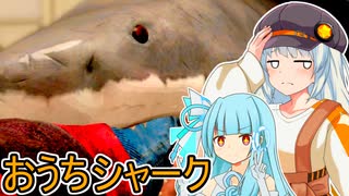 【Home Shark】あおきずと家に出たサメ【VOICEROID実況プレイ】