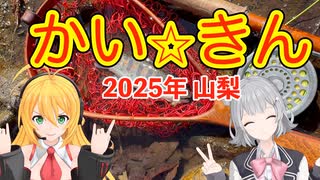 2025年 かい☆きん！山梨県フライフィッシング釣行【弦巻マキ・小春六花実況】
