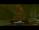 #116【ゼルダの伝説 ティアーズ オブ ザ キングダム】ルージュと共に雷の神殿攻略に挑む！